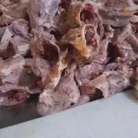 اسکلت مرغ تازه و منجمد برای سگ و پناهگاه