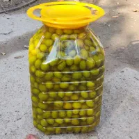 زیتون و روغن زیتون امساله|خوردنی و آشامیدنی|کلاردشت, |دیوار