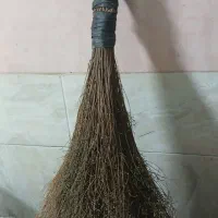 جاروی کوهی