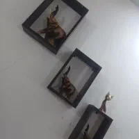 ست کامل فیل چوبی همراه با باکس چوبی|مجسمه، تندیس، ماکت|اراک, |دیوار