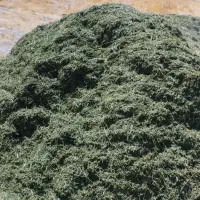 یونجه|حیوانات مزرعه|شیراز, احمدآباد|دیوار