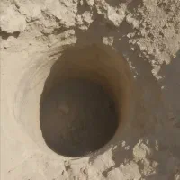 خدمات باغی کلتیواتور وگوده زنی|خدمات باغبانی و درختکاری|ابرکوه, |دیوار