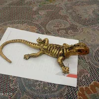 یک عدد جا کلیدی و مارمولک ،زنبور ،طاووس