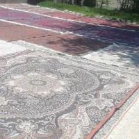 کارگرساده برای قالیشویی