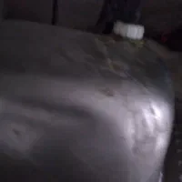 سینگ و ابچکان