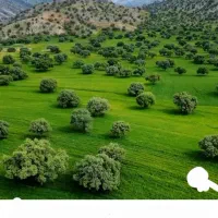 زمین-فاز-یک