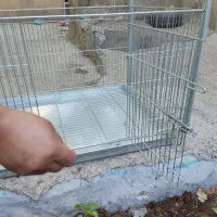 قفسه پرنده  نو|لوازم جانبی حیوانات|تاکستان, |دیوار