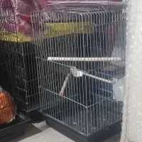قفس پرنده|لوازم جانبی حیوانات|دوگنبدان, |دیوار