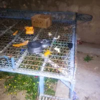 تخت اهنی ورق محکم