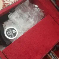 ویولن|ویولن|الشتر, |دیوار