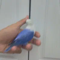 کمد|لوازم التحریر|مشهد, همت آباد|دیوار