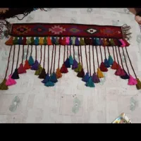 پرده مهره دار