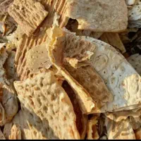 خریدار نان خشک وگونی آردی