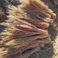 جارو نظافت|لوازم نظافت|روانسر, |دیوار