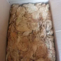 برگ امسال
