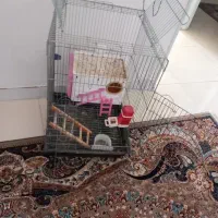 فروش فوری قفس پرنده نو و سالم