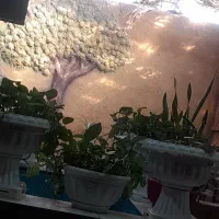 فروش خانه ویلایی...روح آباد بلوار امام حسین