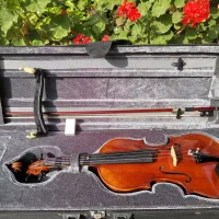 ویالن دست‌ساز برند Stagg|ویولن|نشتارود, |دیوار