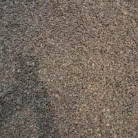 کشمش امساله تمیزوگوشتی