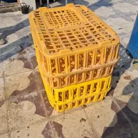 قفس قزوینی