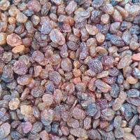 فروش گردو ، کشمش سبز قلمی و کشمش پلویی ، شیره|خوردنی و آشامیدنی|رومشکان, |دیوار