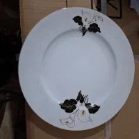 سرویس  اکبند چینی ۱۸ نفره