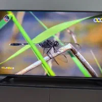 تلوزیون ۵۰ اینچ ایکس ویژن