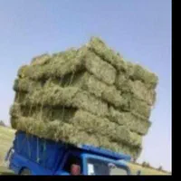 فروش یونجه درجه و کاه سفید