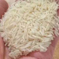 برنج هاشمی عطری اصل گیلان