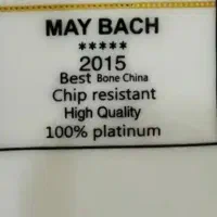 سرویس چینی ۱۸ نفره خارجی مای باخ آلمان