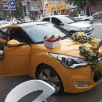 تشریفات عروسی پورسیف ورودی تالار رایگان