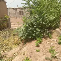 زمین مسکونی همراه با خانه نیمه ساخت و درختان میوه|فروش خانه و ویلا|آشخانه, |دیوار