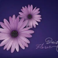 کار در خانه برای بانوان