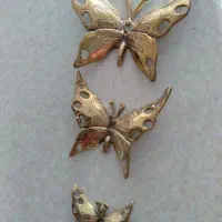 پروانه تزئینی