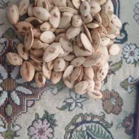 تخمه و مغز بادام بو داده تازه با فروش عمده و خرده|خوردنی و آشامیدنی|اصفهان, بهارستان|دیوار