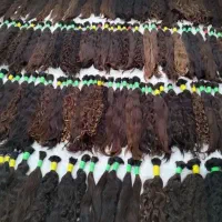 خریدارمو به بالاترین قیمت