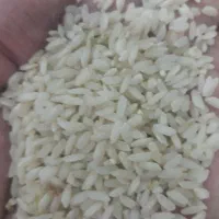 برنج عنبر بو