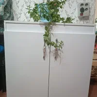 جاکفشی نو. مناسب جهیزیه. رنگ سفید