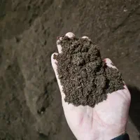 کود حیوانی ورمی کمپوست تحویل بار عمده رایگان|خدمات باغبانی و درختکاری|رشت, دباغیان|دیوار