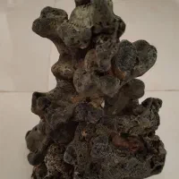 سنگ  آکواریوم