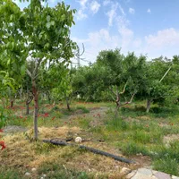 فروش باغ ویلا در کنگاور.|فروش خانه و ویلا|کنگاور, |دیوار