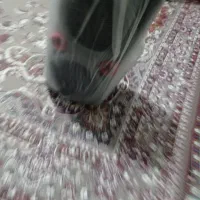 اسبیکر بزرگ|پخش‌کننده همراه|فولادشهر, فولادشهر|دیوار