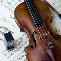 آموزش ویولن به صورت حرفه ای