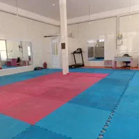 همکاری با مربی خانم