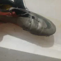 کفش استوک دار سایز 43 و 44 هممیخوره|کیف، کفش، کمربند|اهواز, فدک|دیوار