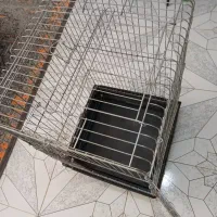 قفس|لوازم جانبی حیوانات|رشت, نظری|دیوار