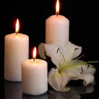 مداح نی نواز گل آرایی تشریفات