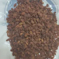 کشمش درشت آفتابی|خوردنی و آشامیدنی|مشهد, منزل آباد|دیوار