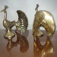 جفت طاووس برنج