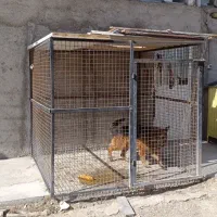 قفس سگ|لوازم جانبی حیوانات|رباطکریم, شهرک صنعتی نصیرآباد|دیوار